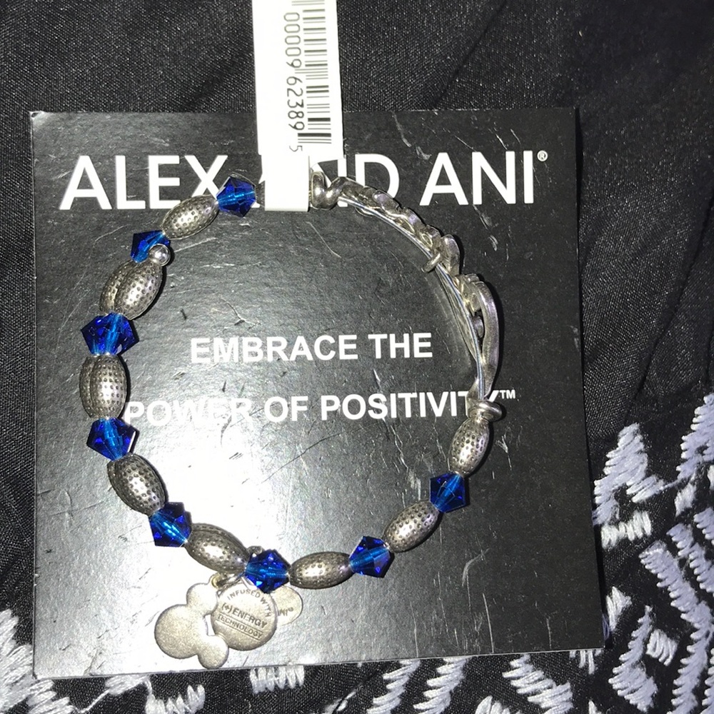 Alex and Ani Disney Bracelet